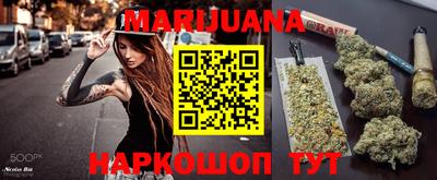 прущие крисы Новозыбков