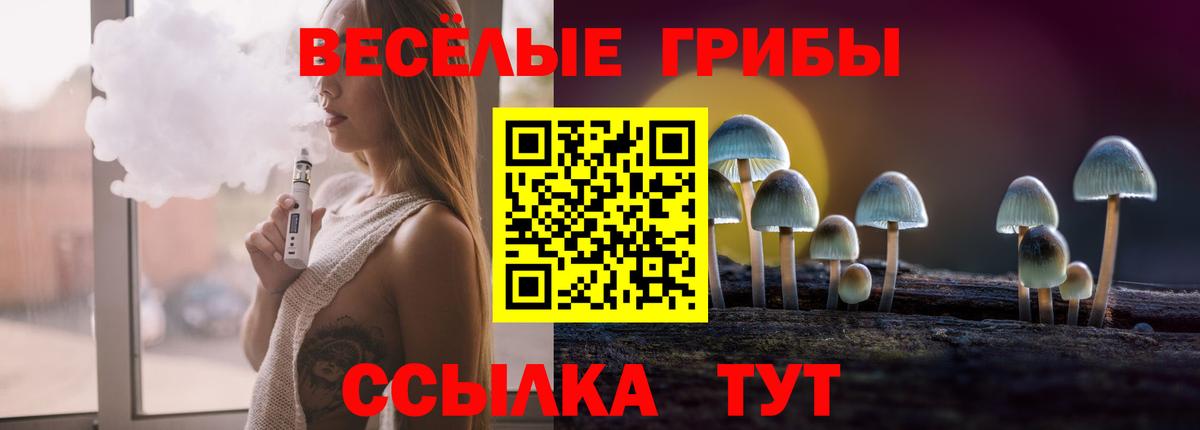 Псилоцибиновые грибы MAGIC MUSHROOMS  Вход с VPN  Фурманов  Псилоцибиновые грибы Psilocybe 